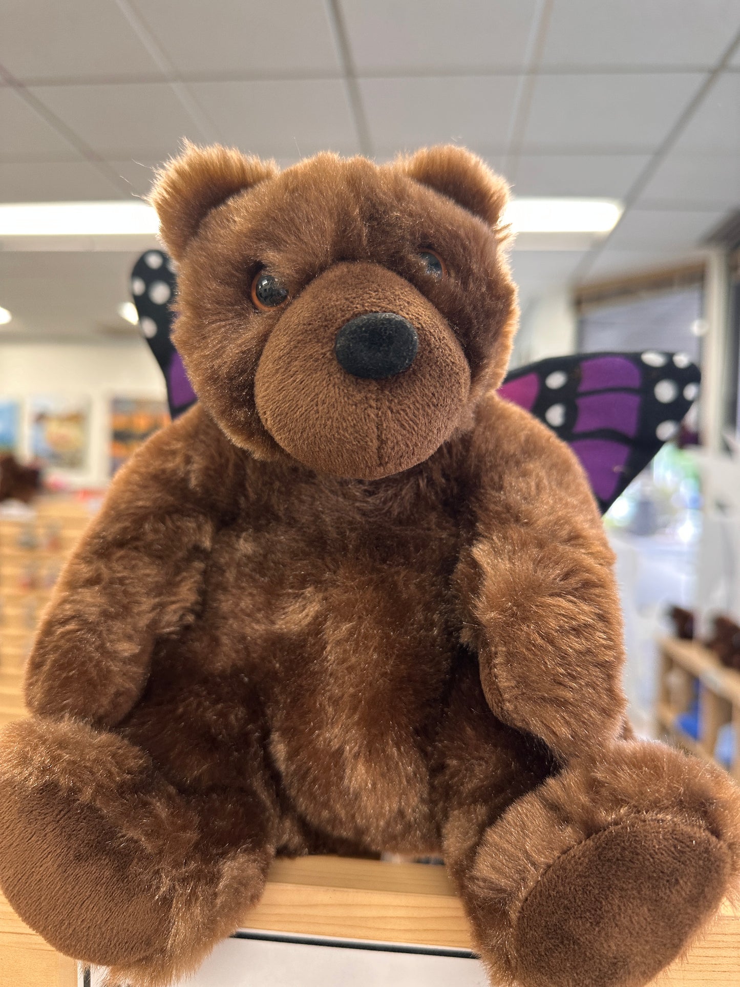 Plush Butterbear